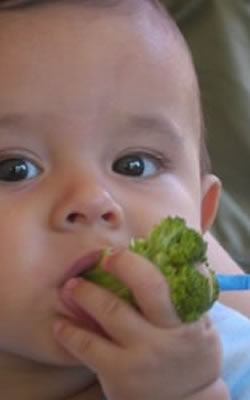Broccoli in Bolivia